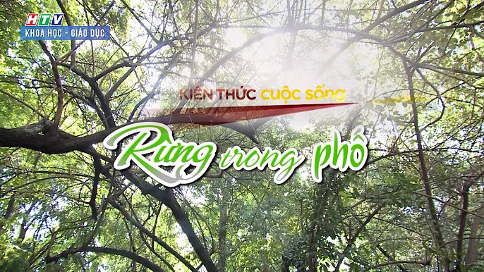 KiẾn thỨc cuỘc sỐng