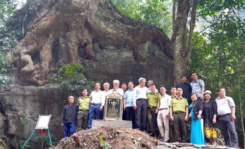 Lịch sử là cầu nối giữa quá khứ và tương lai: hiểu rõ mối liên kết vô hình của con người