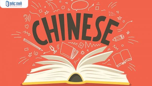 Nên mua giáo trình Ở Đâu - hướng dẫn tìm mua giáo trình chất lượng và tiết kiệm