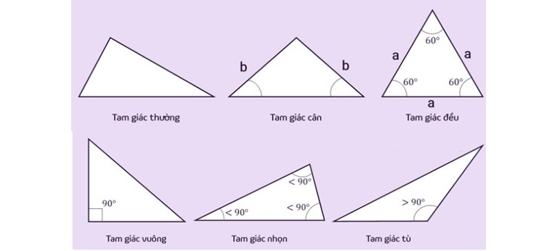 Tất cả những hình vào toán học