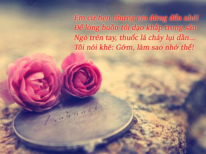 Bài thơ  chữ làm xao động lòng người