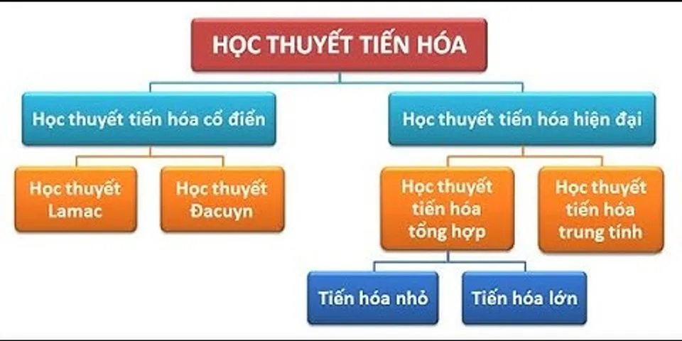 Sinh  bài xích  lý thuyết tiến hóa tổng hợp hiện Đại