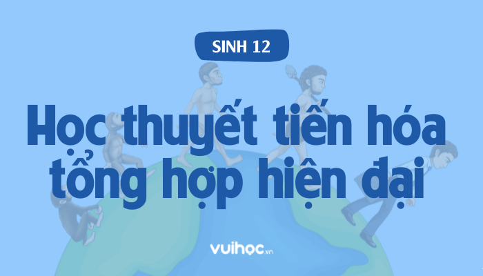 Sinh  bài  lý thuyết tiến hóa tổng hòa hợp hiện Đại